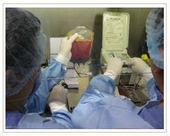 Slider image (2) Cellteam Biotechnology